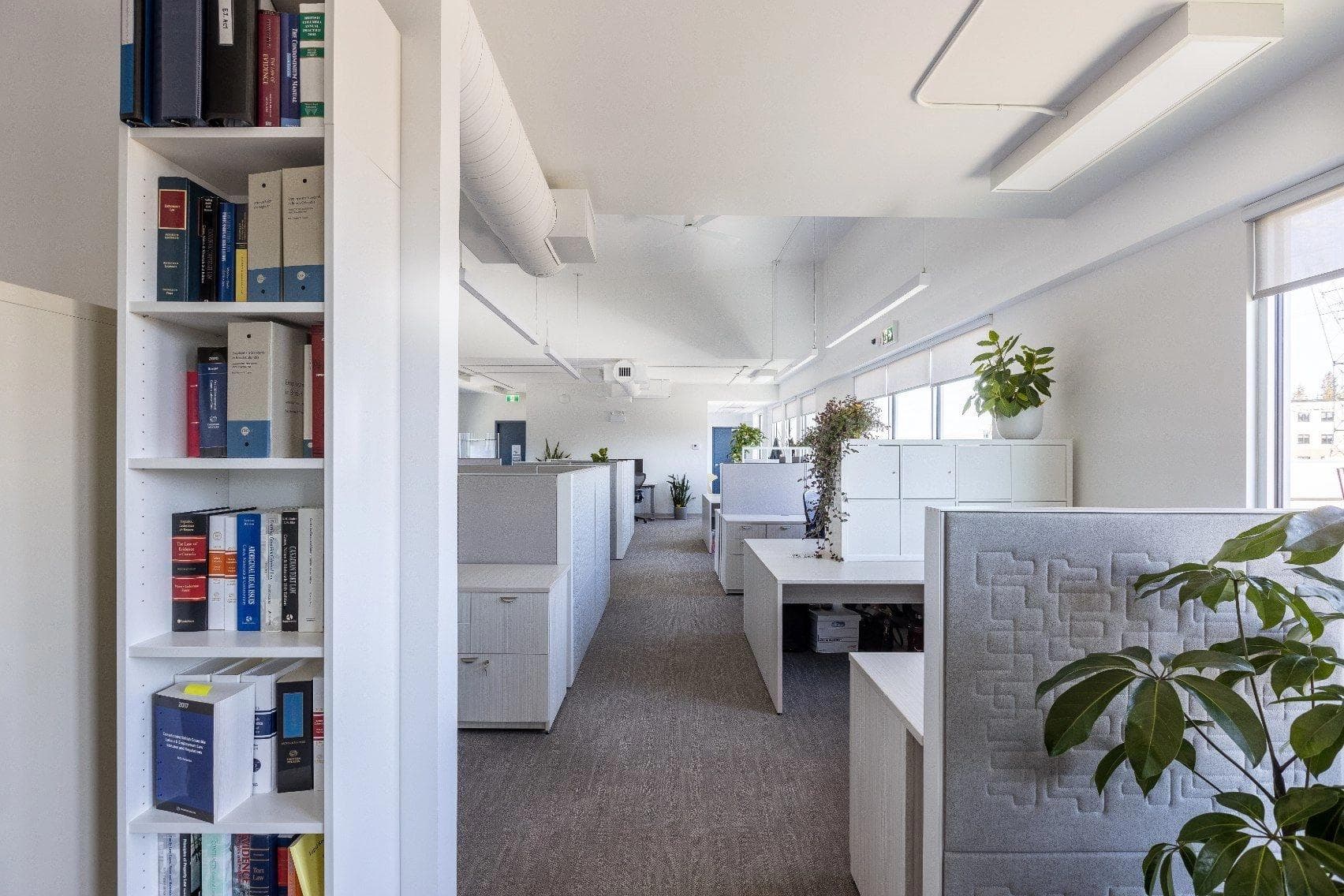 Forte Law Office - Design and Build Project by Aura