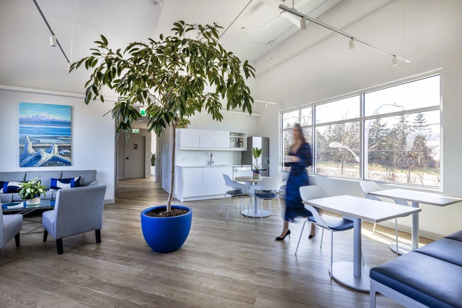 Forte Law Office - Design and Build Project by Aura